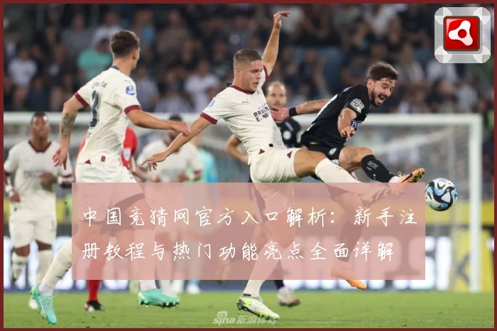 中国竞猜网官方入口解析：新手注册教程与热门功能亮点全面详解