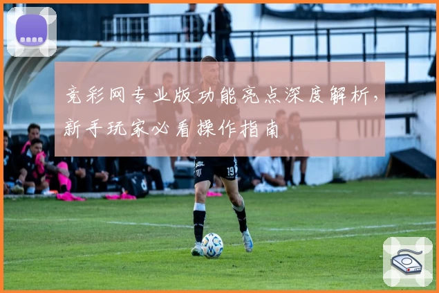 竞彩网专业版功能亮点深度解析，新手玩家必看操作指南