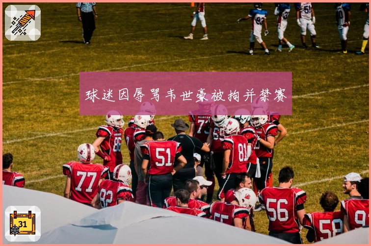球迷因辱骂韦世豪被拘并禁赛